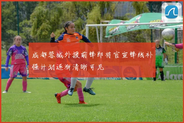 成都蓉城外援前锋即将官宣锋线补强计划逐渐清晰可见