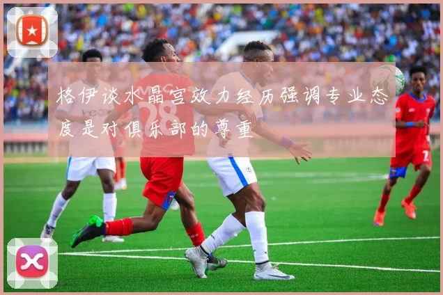 格伊谈水晶宫效力经历强调专业态度是对俱乐部的尊重