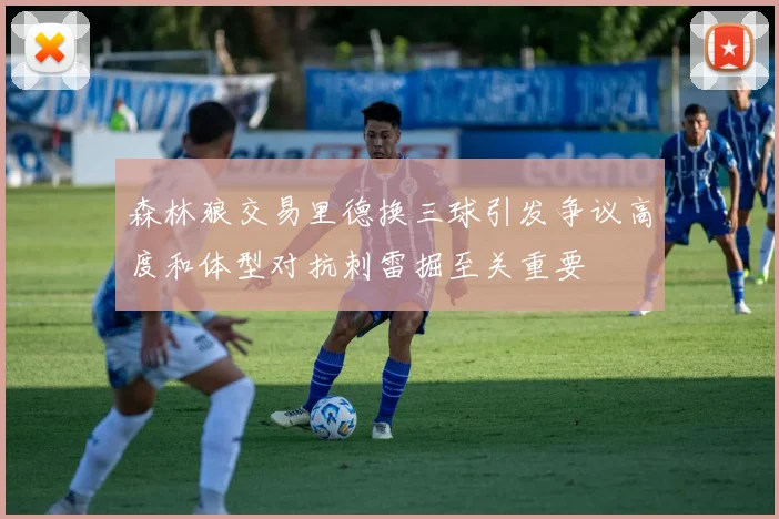 森林狼交易里德换三球引发争议高度和体型对抗刺雷掘至关重要