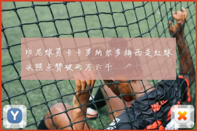 印尼球员卡卡罗纳尔多梅西走红球衣照点赞破两万六千